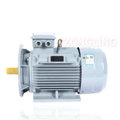 China 3 Phase Totally Enclosed Electric Industry 220v 230v 50hz Ye2 Series 2/4 Pole 20kw 3 PH 20kw 144v AC Induction Motor for sale