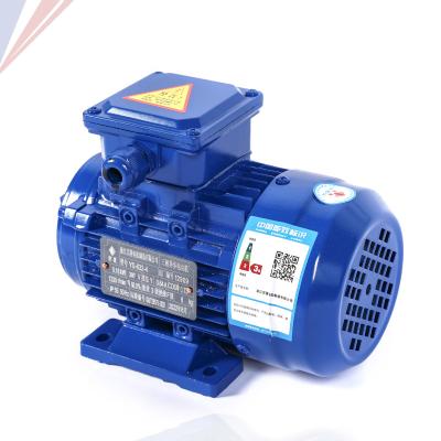 China Ms Series 2/4/6 380v 400v 415v 50hz Totally Enclosed AC Motor 3 Phase Induction Electric Motor 2900rpm 1450rpm Factory Supply for sale