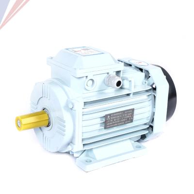 China Totally Enclosed Y2 Series AC 4 380v 380v 380V 50 Hz 1440 Rpm Electric Three Phase Asynchronous Induction Motor for sale