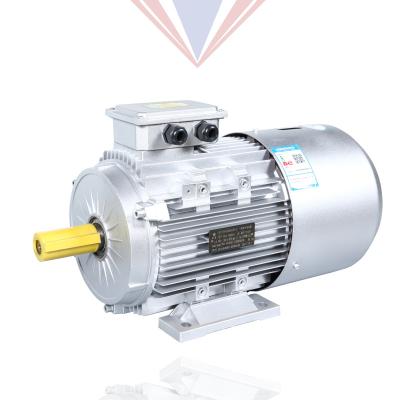 China Waterproof YEJ2 Series 2/4 Pole Electromagnetic Brake AC Motor 380v Three Phase Asynchronous 3 Phase for sale