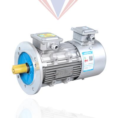 China 4/6 Pole YVP Series Waterproof Aluminum Shell Variable Frequency Speed ​​0.55kw~132kw Three Phase Asynchronous AC Motor for sale