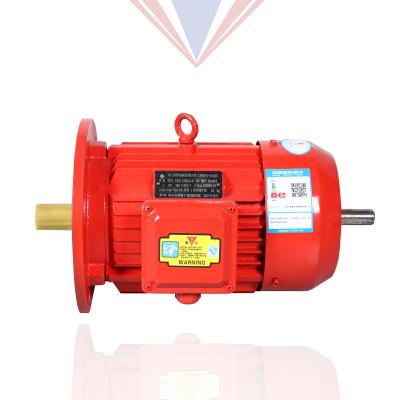 China China Factory 6/8 Pole 380v 0.55kw~280kw Totally Enclosed Three Phase Asynchronous AC Electric Motor Double Shaft for sale