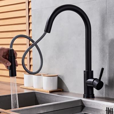 Chine Thermostatic Faucets Kitchen Taps Home 304 Stainless Steel With Hot And Cold Matte Black And Gold Faucets Supplement Sprayer Sink Set à vendre