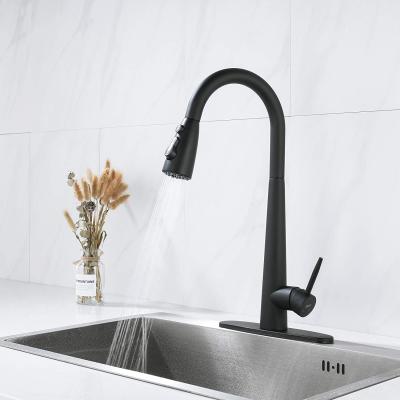 中国 Thermostatic Modern Luxury Single Handle Rotatin 360 Degree Faucets Sprayer Kitchen Sink Hot Cold Black Pull Down Stainless Steel Faucets 販売のため