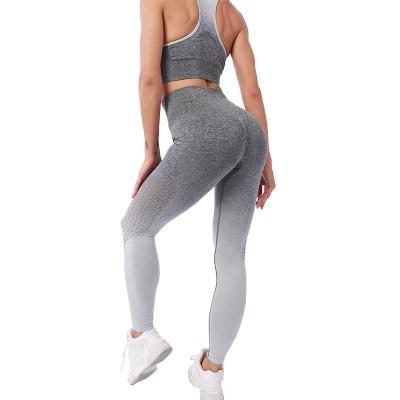 China Breathable Gradient Color Ladies New Product Sports Suit Gym Workout Suit for sale