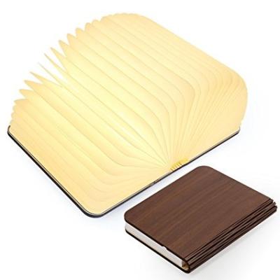 China Amazon Portable Creative Hot Selling Wooden Folding Book Light for sale