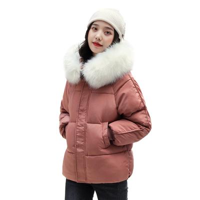 China Anti-wrinkle winter hot sale keep warm hooded ladies coat designs fur coat women for wholesales Cotton-padded clothes direct deal for sale