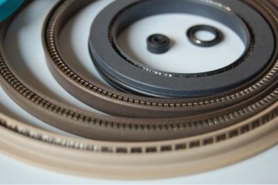 China Spring Energized PTFE Seal ,Variseal, PTFE seal ,PTFE gasket ,PTFE ring for sale