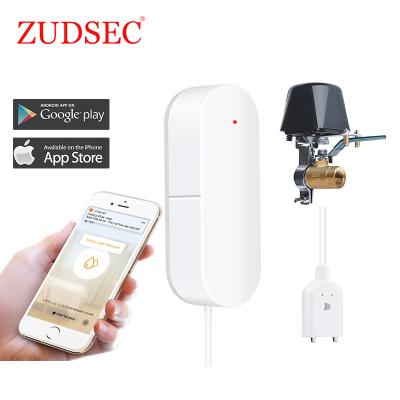 China Smart Home Automation WiFi Water Leak Detector For Home Security And Protection for sale