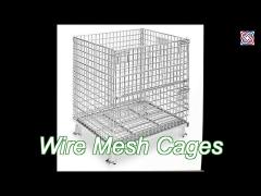 Collapsible Steel Wire Mesh Cages Metal Security Cages