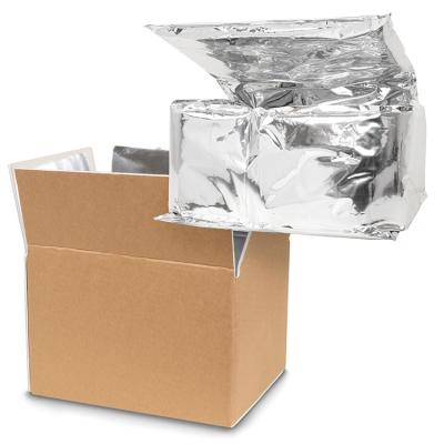 China Frozen Food Silver Insulated Shipping Box Liners Thermal Insulation Container Liner zu verkaufen