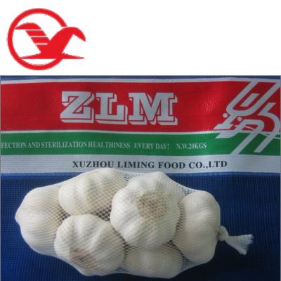 China Fresh new culture fresh white garlic for sale