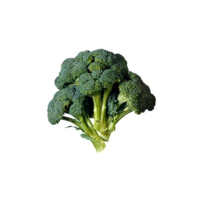 China Season new fresh broccoli fresh vegetable export for sale