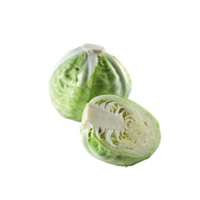 China Fresh new season chinese fresh chinese cabbage for chinese round flat cabbage wholesale for sale