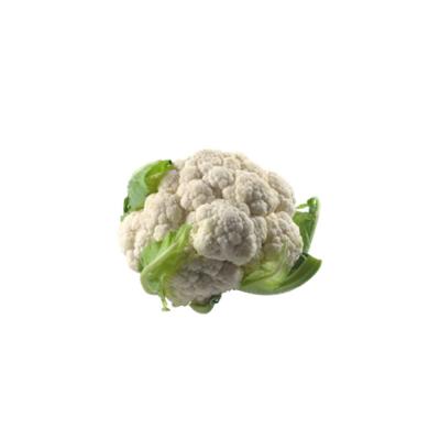 China Wholesale New Natural Vegetable 2022 Wholesale Fresh Export White Fresh Cauliflower for sale