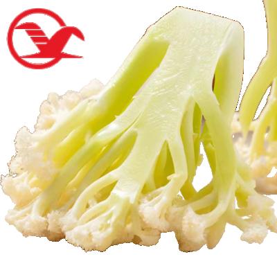 China fresh fresh cauliflower for sale