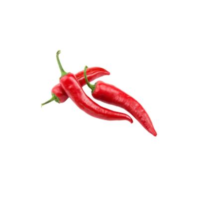 China China Wholesale Price Fresh Red Chili Peppers For Cooking Delicious Food for sale