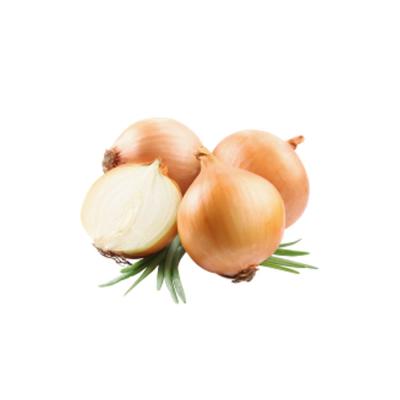 China Wholesale Fresh Size Fresh Organic Product Round Shape China Origin Weight Onion Fresh Onion for sale