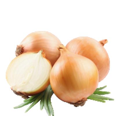 China High quality low price vegetable fresh onions bulk fresh for export for sale