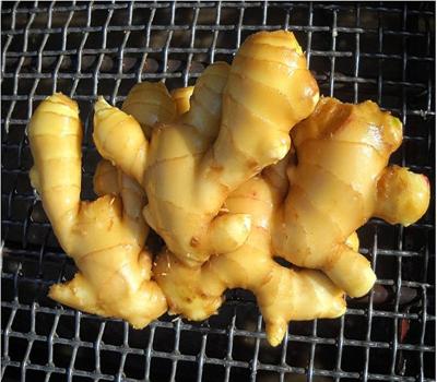 China GAP HACCP fresh fresh ginger from China for sale