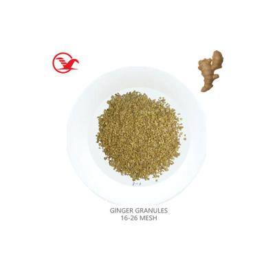 China Best Quality Dried Dehydrated Powder Granules AD Air Dried Ginger Granules for sale