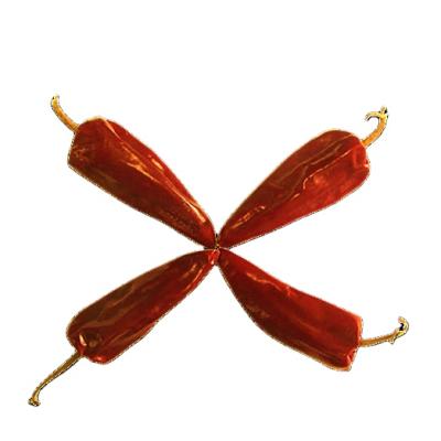 China Chili Factory Direct Sales Dried Dried Dry Dehydrated Red Dried Paprika Chili for sale