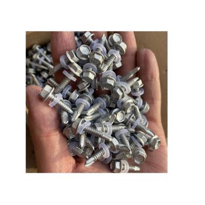 China Other China Professional Manufacturer Security Concrete Stainless Steel Screw For House for sale