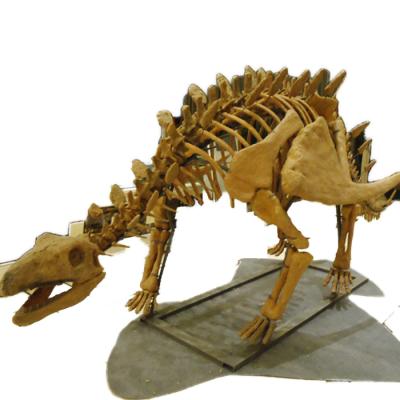 China Assembly Museum Quality Life Size 3d Dinosaur Skeleton Sculpture for sale