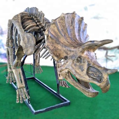 China Assembly Dinosaur Theme Park Realistic Dinosaur Fossil Skeleton For Sale for sale