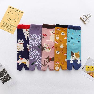 China Japanese Style 2 QUICK DRY Wholesale Toes Cat Flip Flop Split Single Toe Women Socks for sale