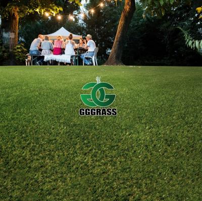 China Garden 25mm Depuy Synthes Speedtrap Grass Roll Mat Grass Depuy Dynthes Anspach Tenis Artificial Grass for sale