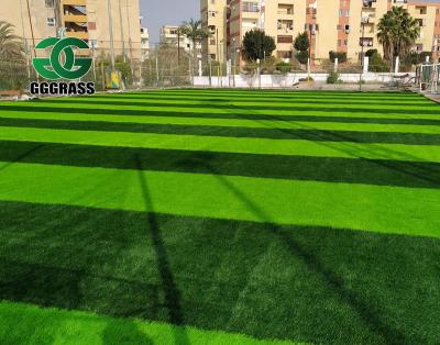 China Soccer Field Dhalia Futsal Court Turf Grass Erba Sintetica Grass Tile Artificial Grass For Garden Cancha De Padel for sale