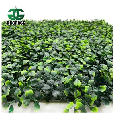 China Modern UV Resistant Barrier Garden Wall Decor from Milan Artificial Plant Wall Artificial for Outdoor for sale