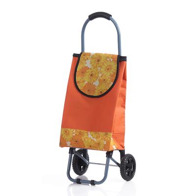 China Supermarket Equipment Personal Push Folding Moving S.M. Folding Shopping Trolleys And Trolleys For Stairs for sale