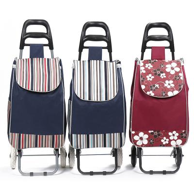 China Folding Folding Tool Trolley Trolley Shopping Bag With 2 Plastic Wheel for sale