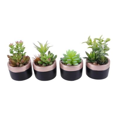 China Plants Wholesale Eco - Friendly Mini Bonsai Plants Artificial Succulent With Round Pot for sale