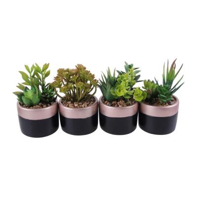 China Eco-friendly Mini Succulent Plants Artificial Plants Direct Succulents Art For Decoration for sale