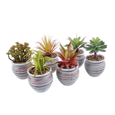 China Eco-friendly Wholesale Cheap Artificial Succulent Cactus Plastic Material Plants For Home Decor for sale