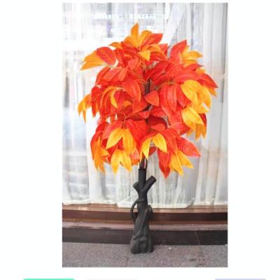 China Fashional Hotselling Chinese Maple Tree for Wedding Decoration Big Red Leaf Tree for sale