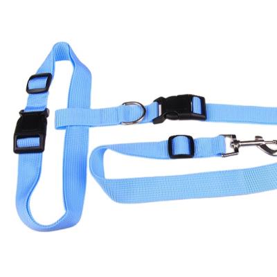 China Stocked Dog Leash For Running/Walking Hands Free Dog Leash Strong Handle Bungee Leash/Dual Training for sale