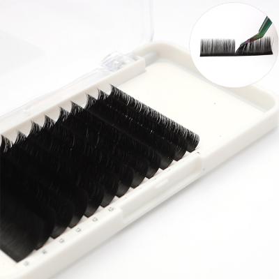 China Private label with your own brand logo whips silk eyelash extension supplies, different packing custom handmade korean private label eyelash extensions for sale