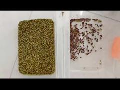 Bean Color Sort