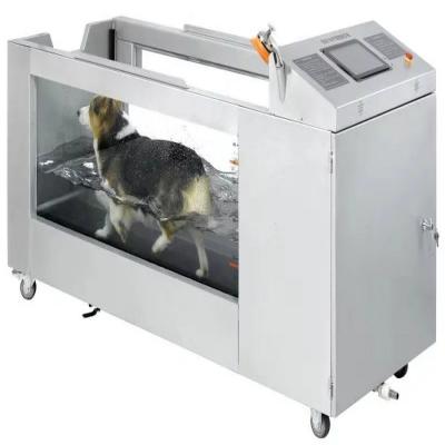 China Sustainable Animal Water Power Under Water Economical Electric Water Treadmill Pet Dog Underwater Treadmill For Dogs Price for sale