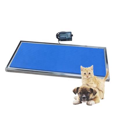 China China Best Price Stainless Steel Ultrathin Electronic Animal Scale For 150kg for sale