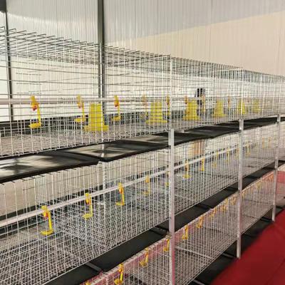 China Farms Anping Factory 96 128 160 Layer Battery Cage For Layer Chicken for sale