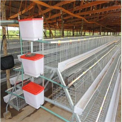 China Farms Hot Sales One Type 3 Layer 4 Door Poultry Chicken Cage for sale