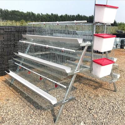 China Farms Hot Sales Automatic Chicken Broiler 1000 Cages for sale