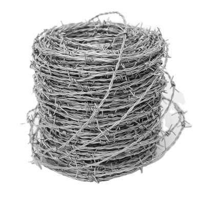 China Construction Protective Factory Direct Hot Dipped Galvanized Barbed Wire For Protect for sale