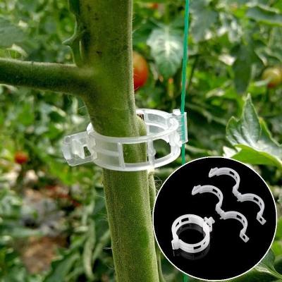 中国 Hot Sale Silicon Tomato Growing Fruit Vegetable Grafting Trellis Trellising Plastic Clips With UV For Plant Support 販売のため