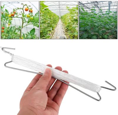 Cina Factory Direct Galvanized Hot Dipped Galvanized Steel Tomato Hooks For Growing Support in vendita